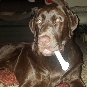 Meet your Posher, Haley